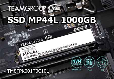 TeamGroup MP44L 1000GB